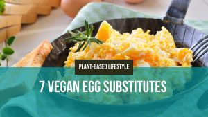 vegan Egg Substitutes